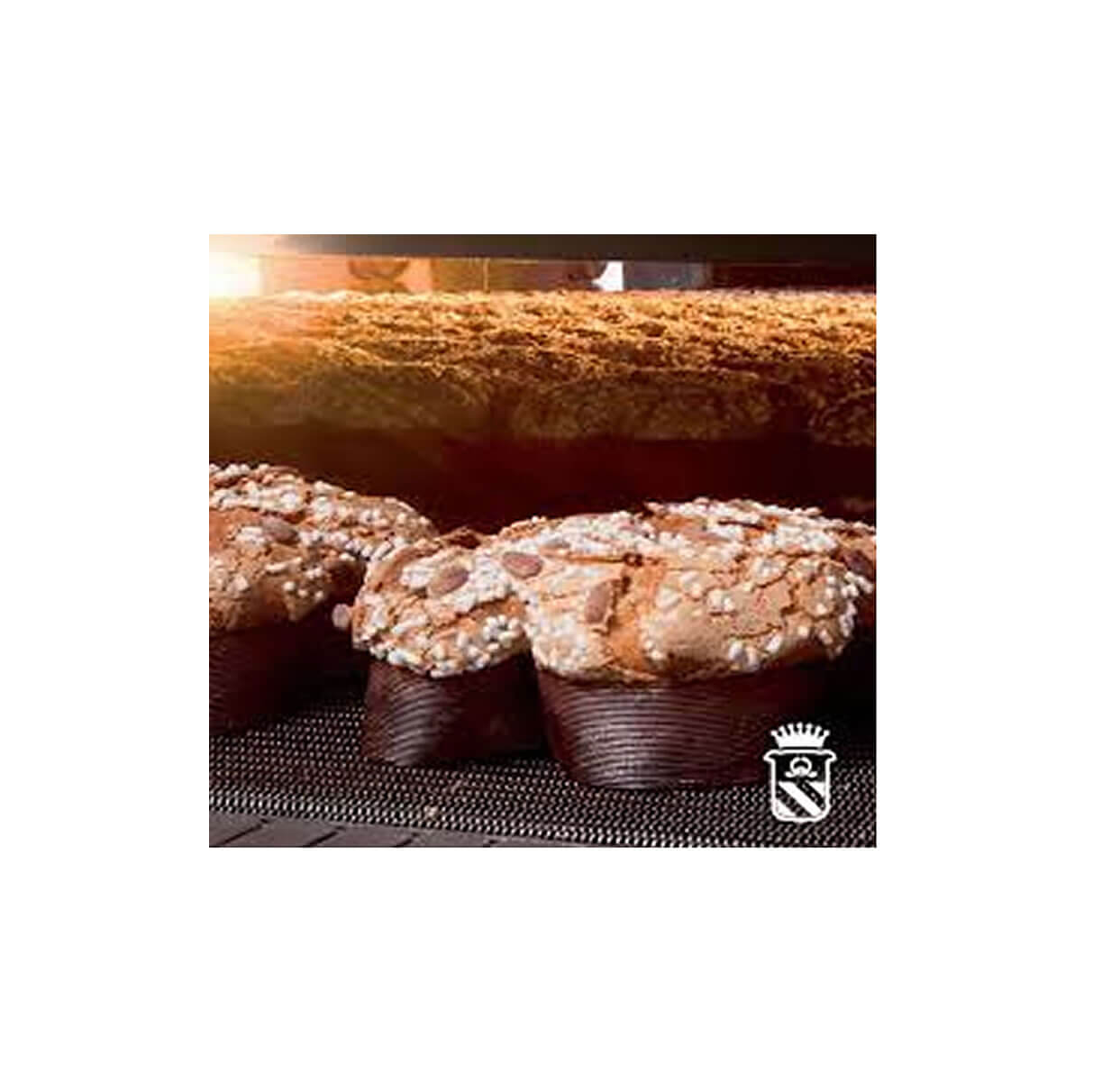 Colomba artigianale tradizionale con ovetti , maxi formati.